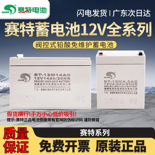 现货正品消防主机专用蓄电池赛特