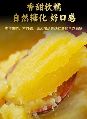【坏果包赔】正宗云南高原榴莲蜜薯番薯甜味地瓜软糯香甜产地直发