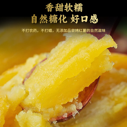 【坏果包赔】正宗云南高原榴莲蜜薯番薯甜味地瓜软糯香甜产地直发