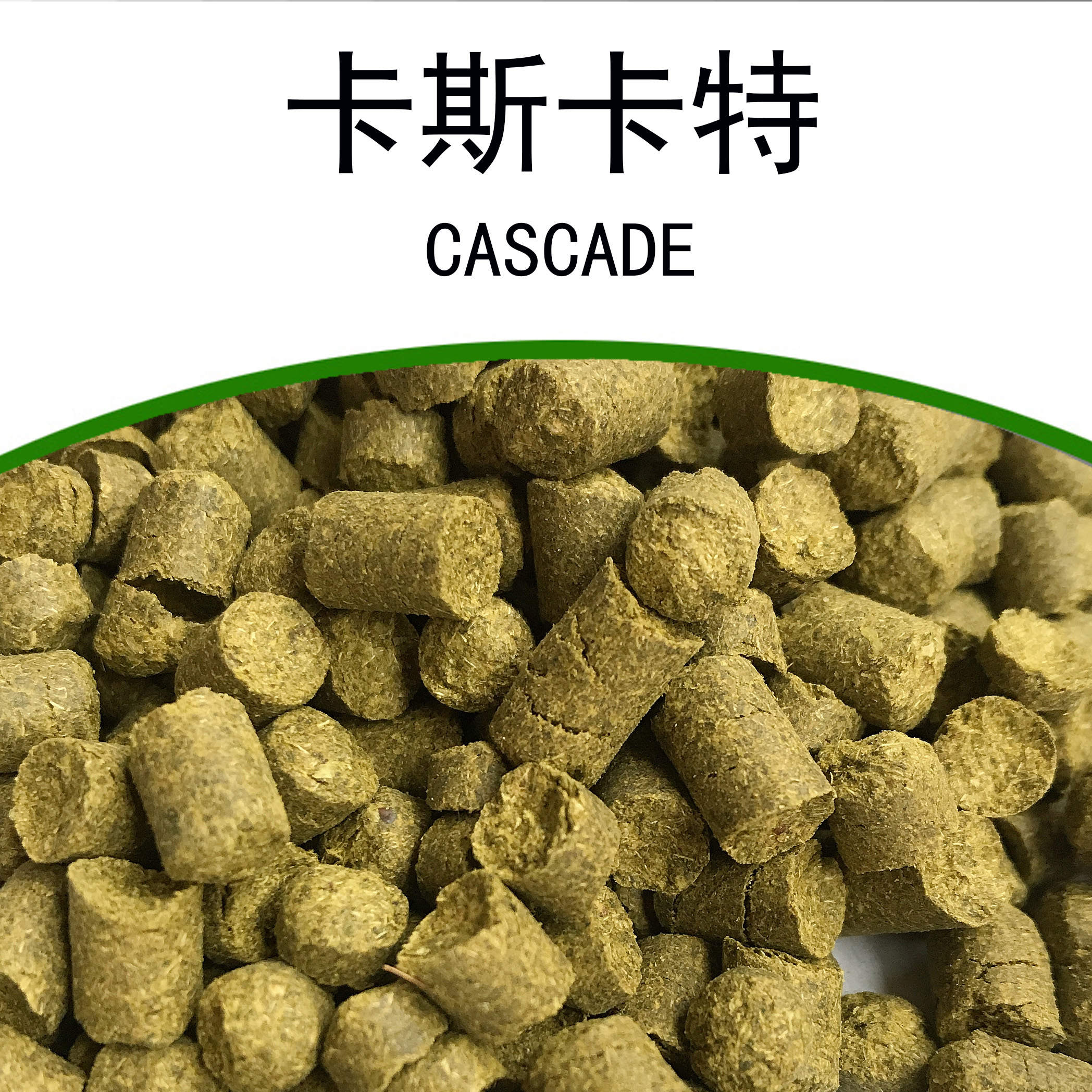 进口卡斯卡特西楚雅基玛啤酒花