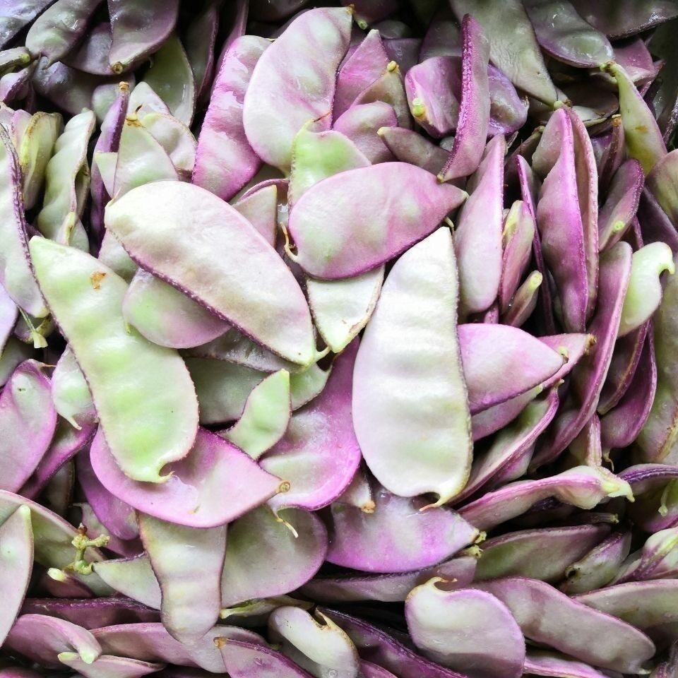 安徽特产蔬菜扁豆新鲜无为老品种红扁豆紫色扁豆扁豆角眉豆四季豆