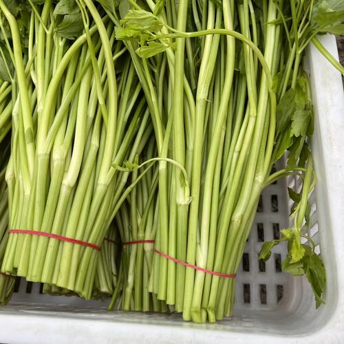 野水芹菜安徽无为特产野芹菜