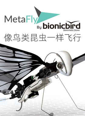 法国MetaFly遥控仿生鸟飞行器扑翼昆虫鸟科学儿童小型玩具无人机