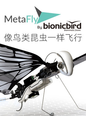 法国MetaFly遥控仿生鸟扑翼昆虫