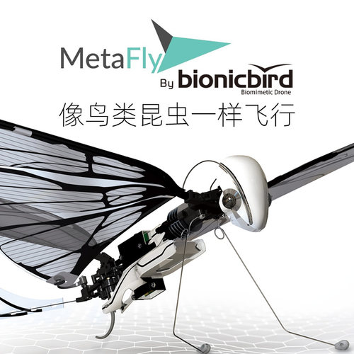 法国MetaFly遥控仿生鸟扑翼昆虫