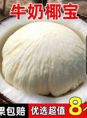 海南牛奶椰宝8个装当季现摘新鲜水果正宗老椰子椰青椰皇整箱包邮