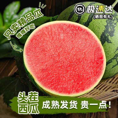【极速包邮】头茬麒麟西瓜水果新鲜无籽整箱8424美都薄皮现摘现发