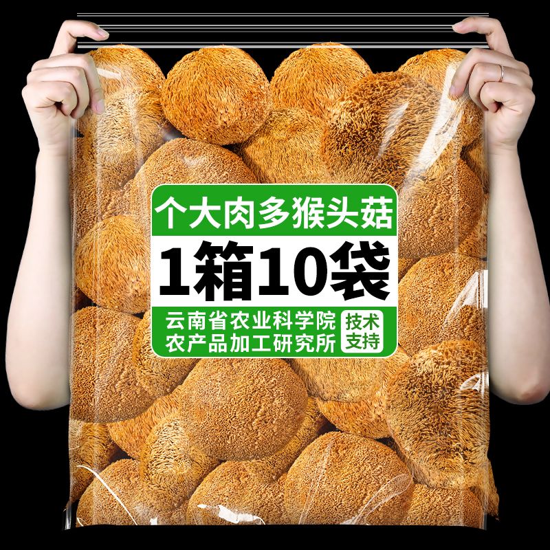 云南猴头菇新鲜干货当季新货无硫正宗猴头菌食用菌蘑菇煲汤食材