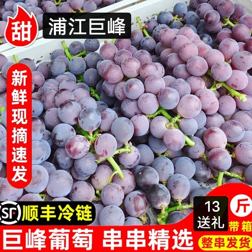浦江巨峰葡萄新鲜采摘孕妇水果浙江马陆葡萄10斤整串送礼顺丰冷链