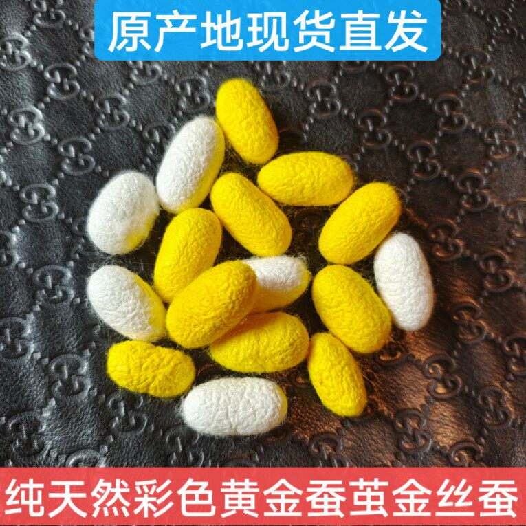 蚕丝扇手工制作完整材料套装扇框金白彩色蚕茧烘干完整抽丝金丝蚕