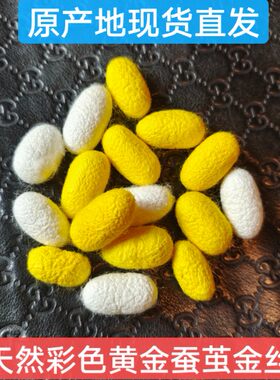 彩色蚕茧金丝蚕蚕丝扇