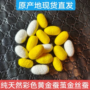 蚕丝扇手工制作完整材料套装扇框金白彩色蚕茧烘干完整抽丝金丝蚕