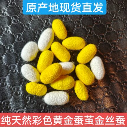 蚕丝扇手工制作完整材料套装扇框金白彩色蚕茧烘干完整抽丝金丝蚕