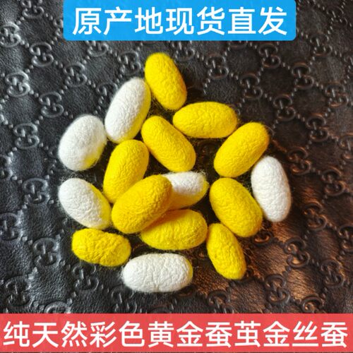 彩色蚕茧金丝蚕蚕丝扇