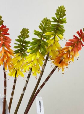 火炬百合仿真花户外花海