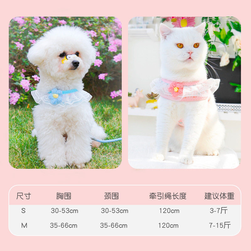 狗狗牵引绳遛幼犬狗链子