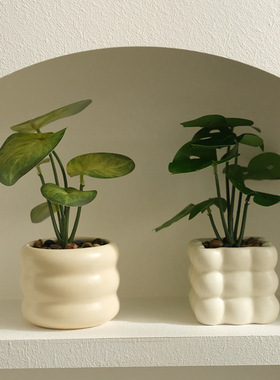 仿真植物北欧装饰小盆栽