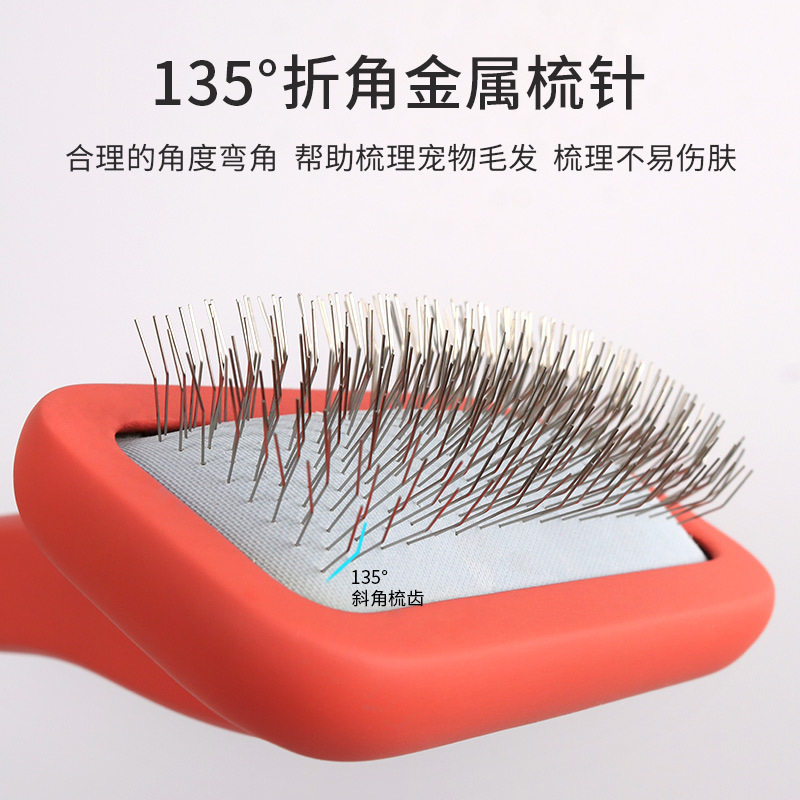 宠物梳子美容店专用泰迪