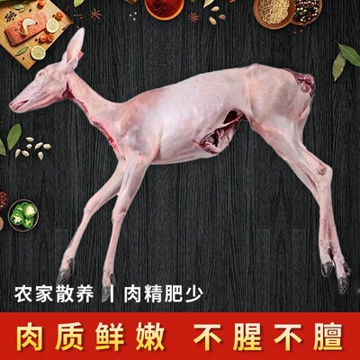 吉林梅花鹿肉新鲜现杀冷链包邮