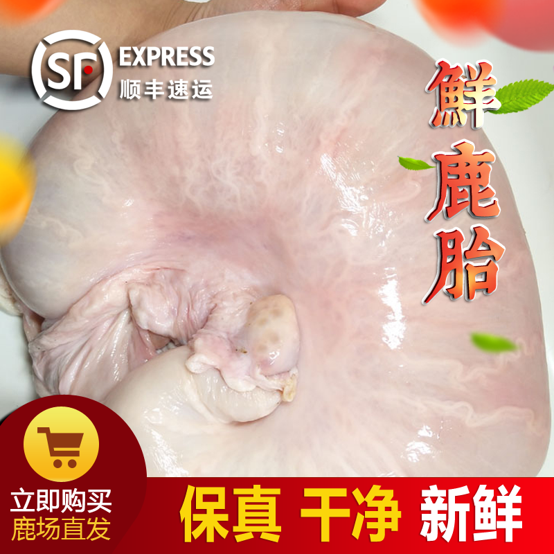吉林新鲜梅花鹿鲜鹿胎整鹿胎鹿胎盘熬鹿胎原料整只干鹿胎空运包邮