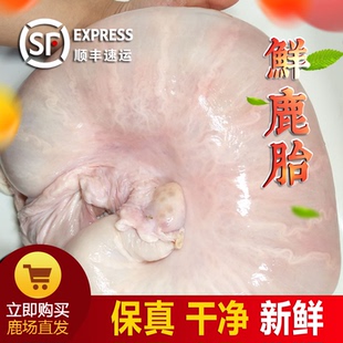 吉林新鲜梅花鹿鲜鹿胎整鹿胎鹿胎盘熬鹿胎原料整只干鹿胎空运包邮