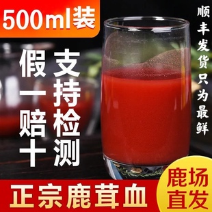 顺丰包邮鹿茸血酒纯正正品吉林梅花鹿血酒男性泡酒当日现接500ml