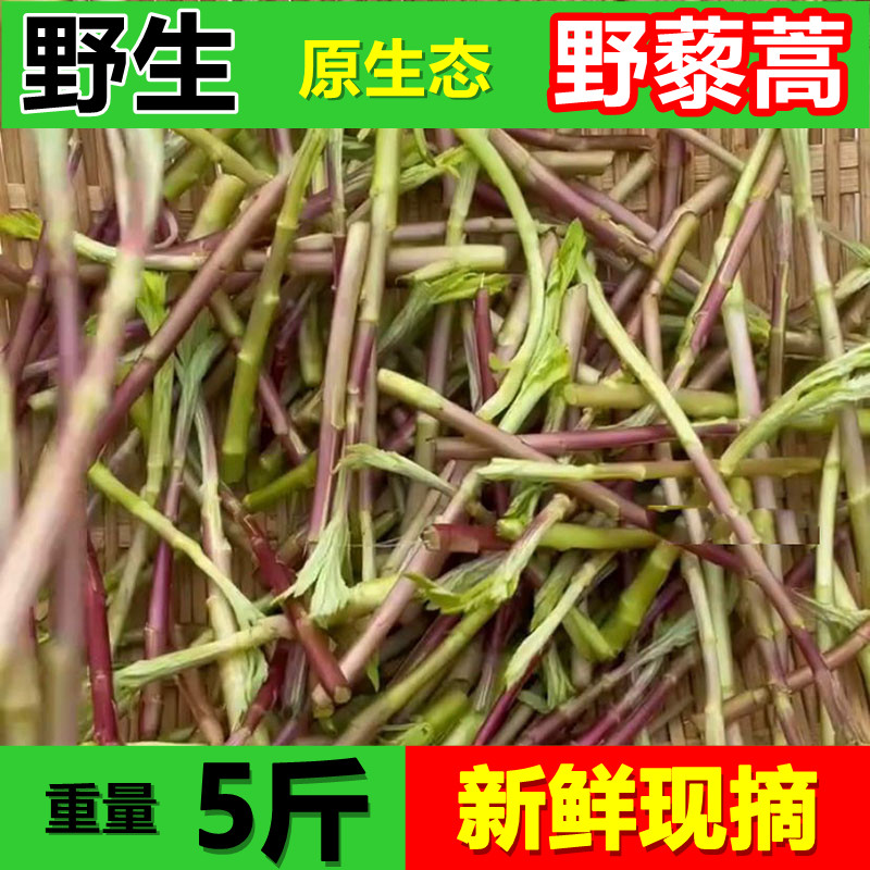 【顺丰快递】湖北新鲜现摘野黎蒿芦蒿当季芦蒿红黎蒿嫩泥蒿送腊肉