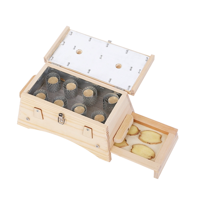 艾灸盒木制实木随身灸隔姜灸盒子