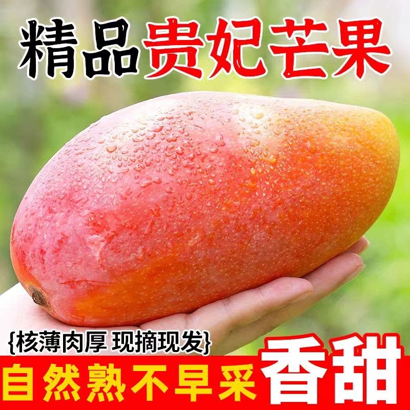 海南贵妃芒新鲜芒果9斤应当季水果树上熟红金玉青辣椒芒大果整箱