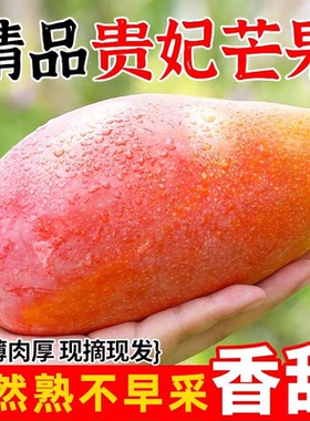 海南贵妃芒新鲜芒果9斤应当季水果树上熟红金玉青辣椒芒大果整箱