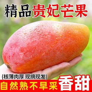 海南贵妃芒新鲜芒果9斤应当季水果树上熟红金玉青辣椒芒大果整箱
