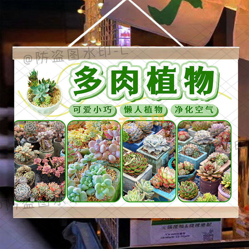 贩卖多肉挂画防水招牌