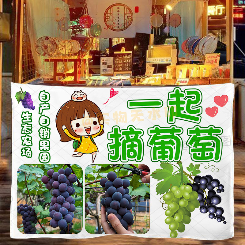 支持定制新鲜葡萄现采摘园摆摊专用挂布宣传广告布摊位海报背景布