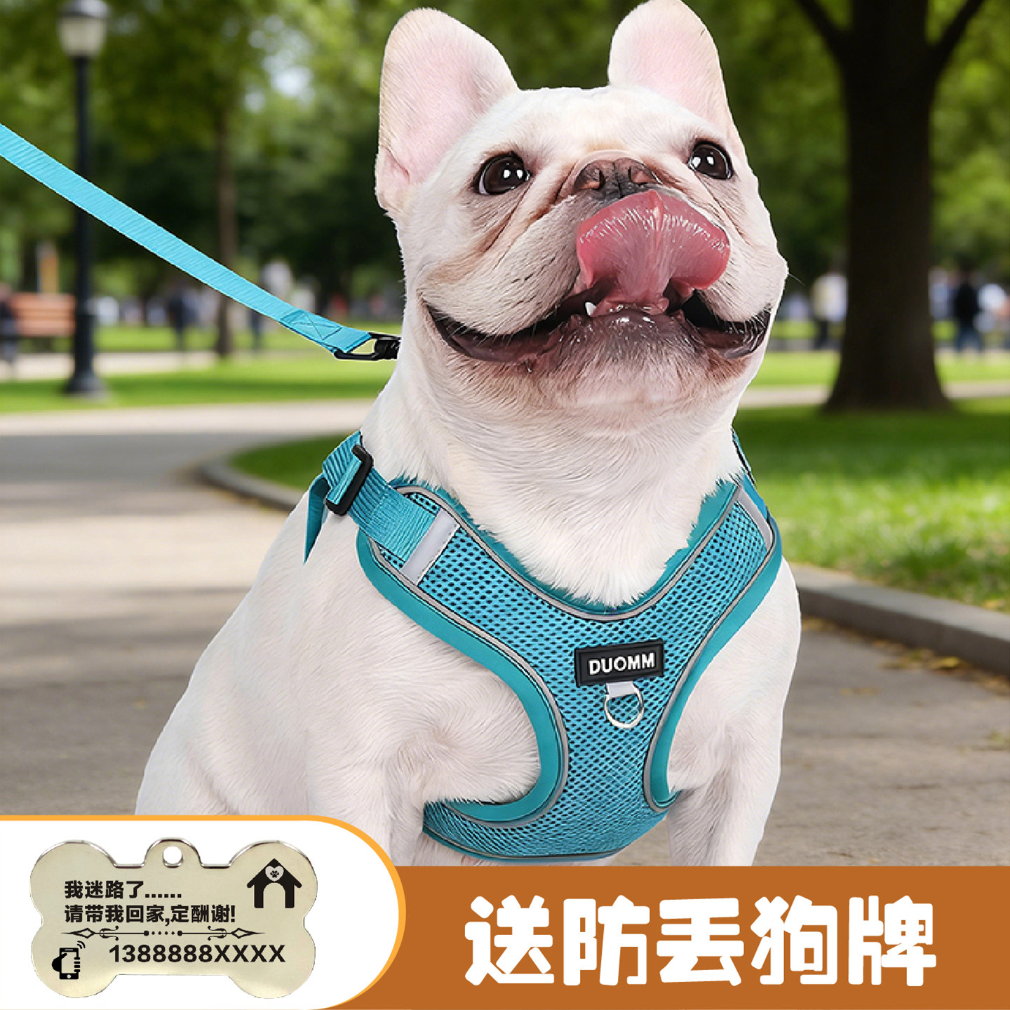 宠物牵引绳外出狗狗胸背