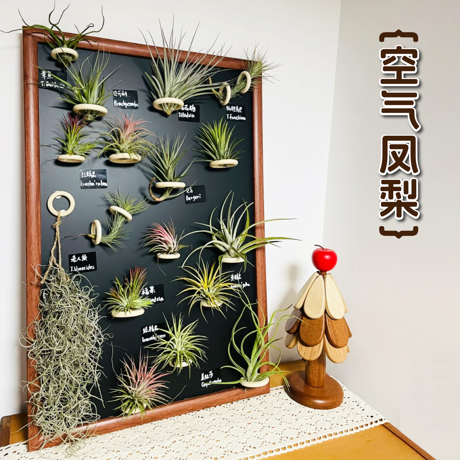 磁如意冰箱贴展示板挂墙黑板磁吸