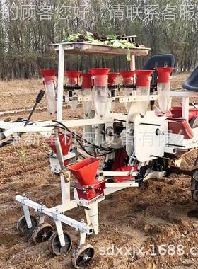 2行移栽机 蔬菜葱洋材EOY移栽机自药式移栽走机