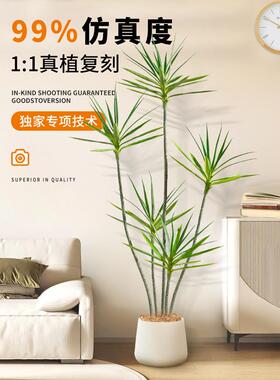 彷真绿植千年木室内高端轻奢办公室沙发边落地装饰彷生植物大摆件