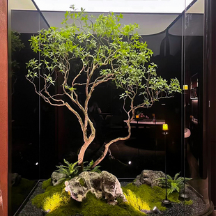 精品马醉木绿植造景橱窗植物室内彷真榕树装饰树大型假树简约景观