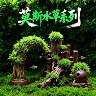 鱼缸莫斯陶罐水草造景真植物鱼虾躲避罐虾屋小摆件小鱼繁殖躲避屋