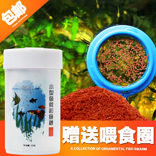 小型热带观赏孔雀鱼缓小微斗虫干