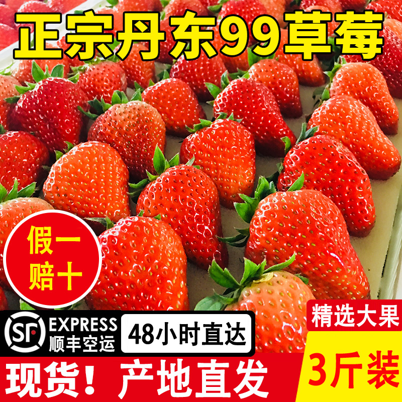 Authentic Dandong 99 milk Roots strawberry pregnant woman fresh Fruit 3 solid Donggang Ninety-nine strawberry Giftsin the Aquatic meat/Fresh fruits and vegetables/Cooked , Fresh fruit , Strawberries  category - from Buy2taobao.com to provide professional Taobao agent buy service