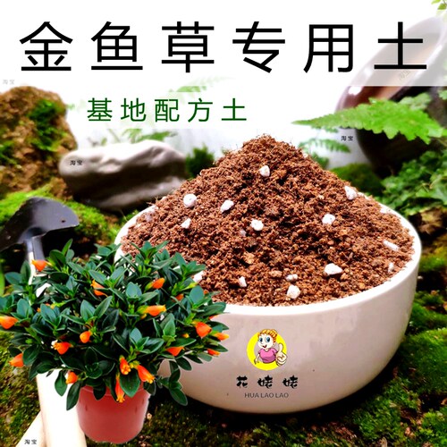 自家基地配方土透气卫生肥力持久