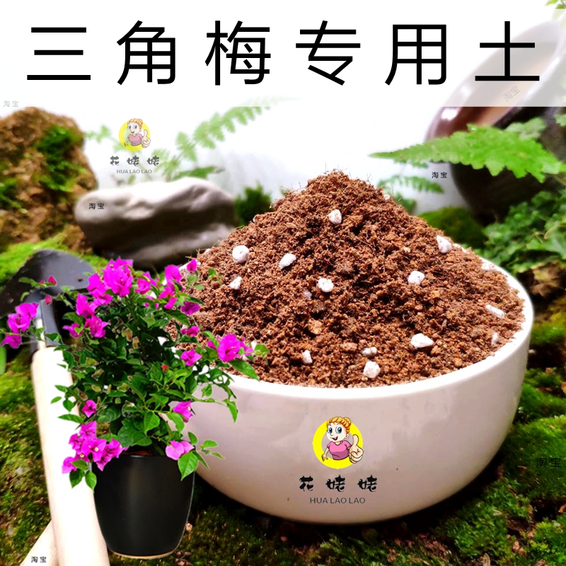 梅花树弱酸性盆栽特惠专用土