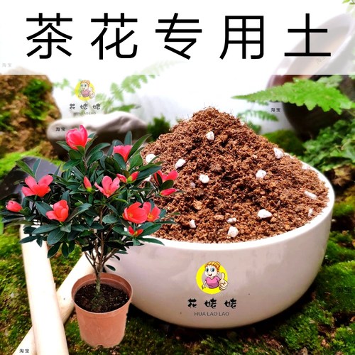 弱酸性通用型花卉盆栽培植土
