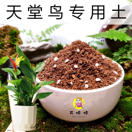 花姥姥基地配方土！无菌卫生！