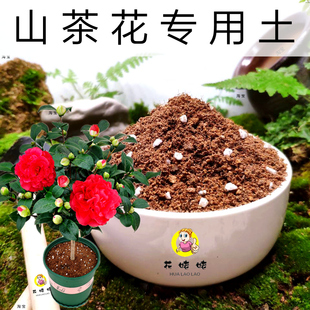 山茶花树苗专用培植土金花茶土通用型营养土弱酸性易生根新土热卖