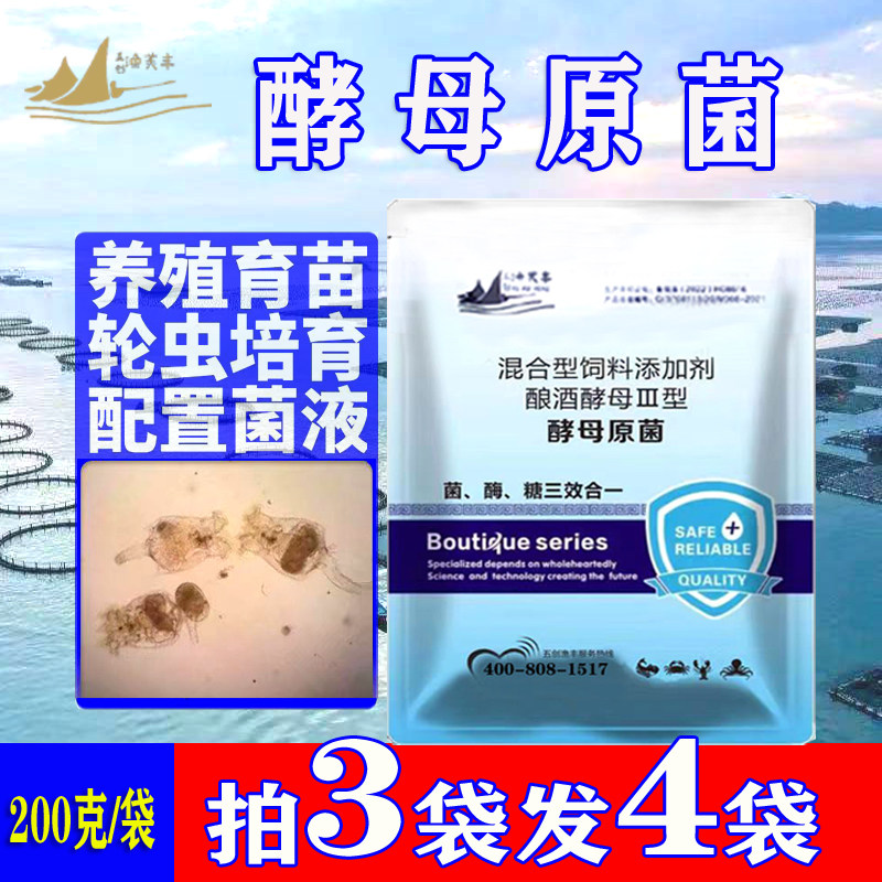 水产养殖酵母菌粉鱼虾蟹育苗发酵菌液轮虫培育鱼虾蟹育苗