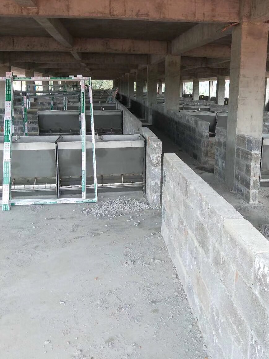 料线养殖场全自动养猪料塔料线水线定制养殖场猪舍自动饲喂料线