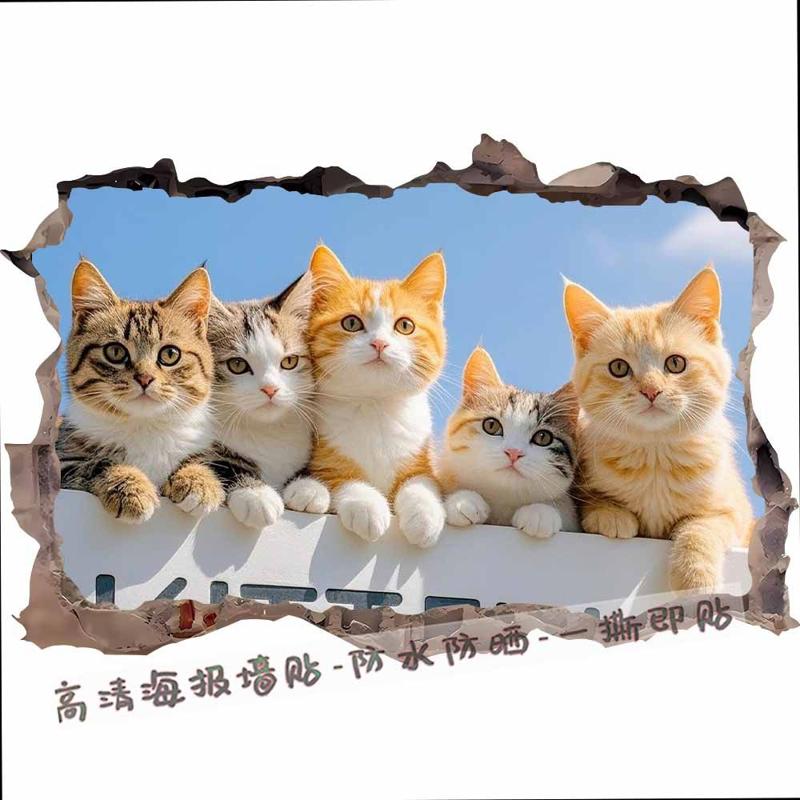 3D立体破洞可爱小猫咪墙贴画出租屋装饰贴纸防水自电动车贴花壁画