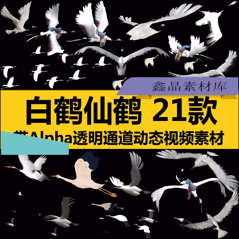 白仙鹤群飞翔AE会声会影ED制作带Alpha透明通道视频后期动态素材